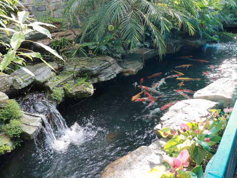 Ảnh khác ẩm thực