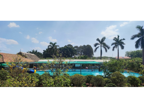 Không gian hồ bơi