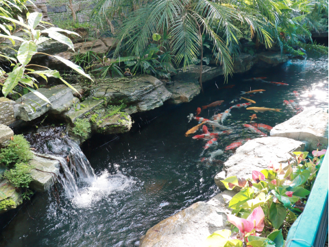 Ảnh khác ẩm thực