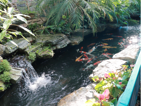 Ảnh khác ẩm thực