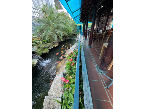 Không gian trên bờ