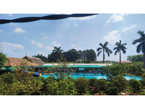 Hồ Bơi Thủy Mộc